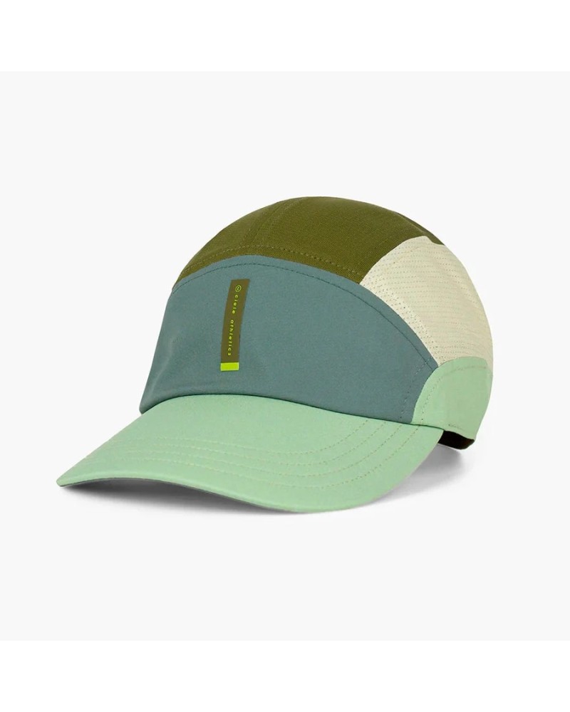 FSTCapSC-Comp-IconicVC-SilverPine-Glade