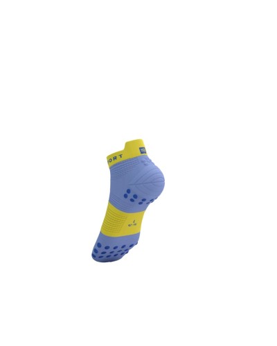 PRO RACING SOCKS V4.0 RUN LOW