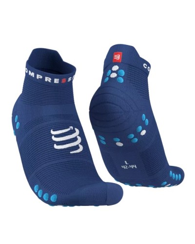 PRO RACING SOCKS V4.0 RUN LOW