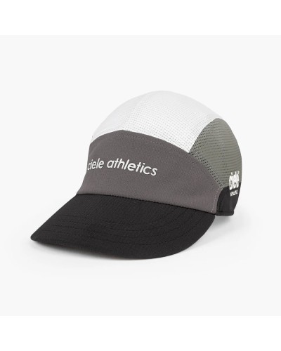 FSTCAPSC-FIELD-ICONIC