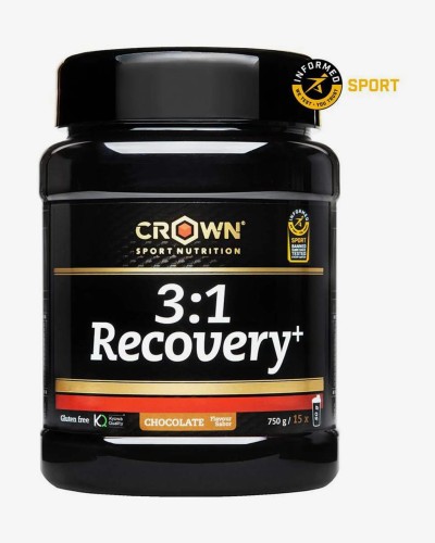 Bote Pro Recovery 3:1 chocolate (750gr)