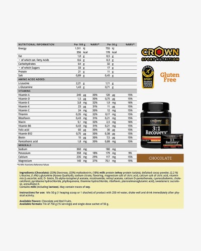 Bote Pro Recovery 3:1 chocolate (750gr)