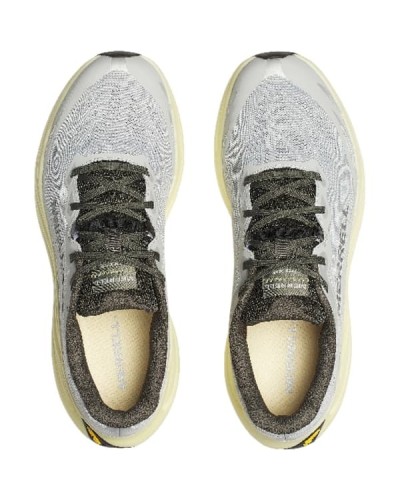 PROMORPH/PIGEON/LIMONE