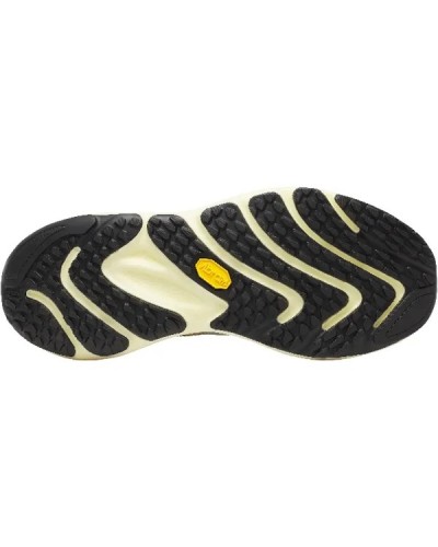 PROMORPH/PIGEON/LIMONE