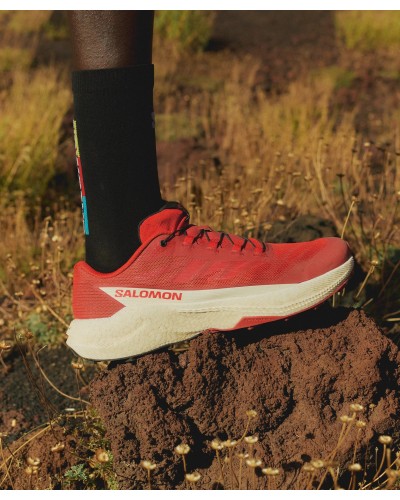 Salomon Pulsar Hombre | Zapatillas Trail Running Rápidas